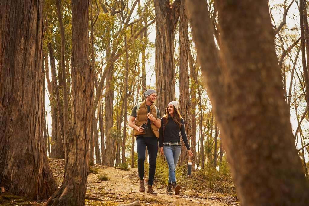 Racv Goldfields Resort Creswick Ανέσεις φωτογραφία